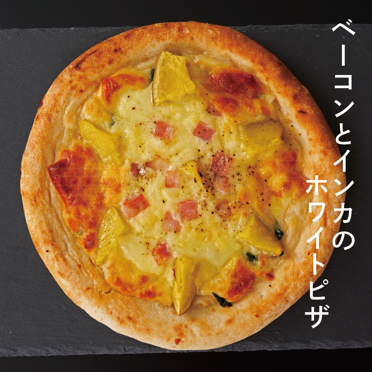 牧場チーズをたっぷり使った本格ピザ6枚（3種）セット