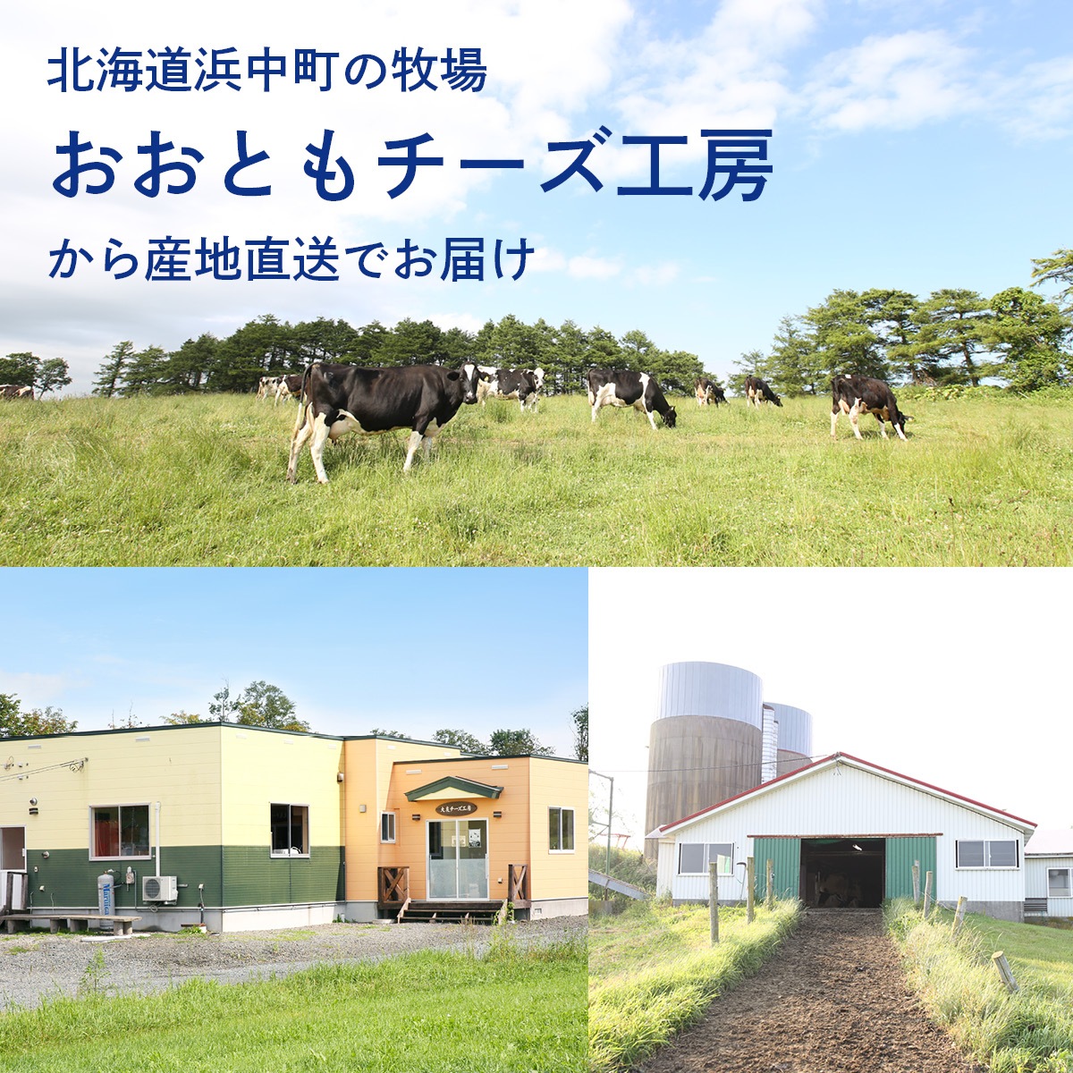 牧場チーズをたっぷり使った本格ピザ6枚（3種）セット