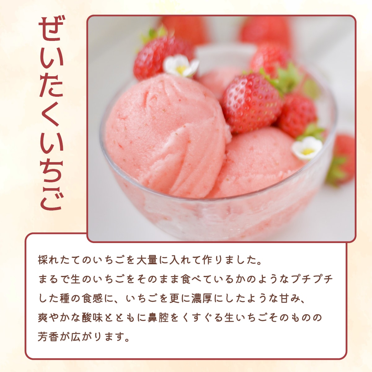 いちご農家が作った　いちごジェラート5個セット　徳島県産勝占いちご使用