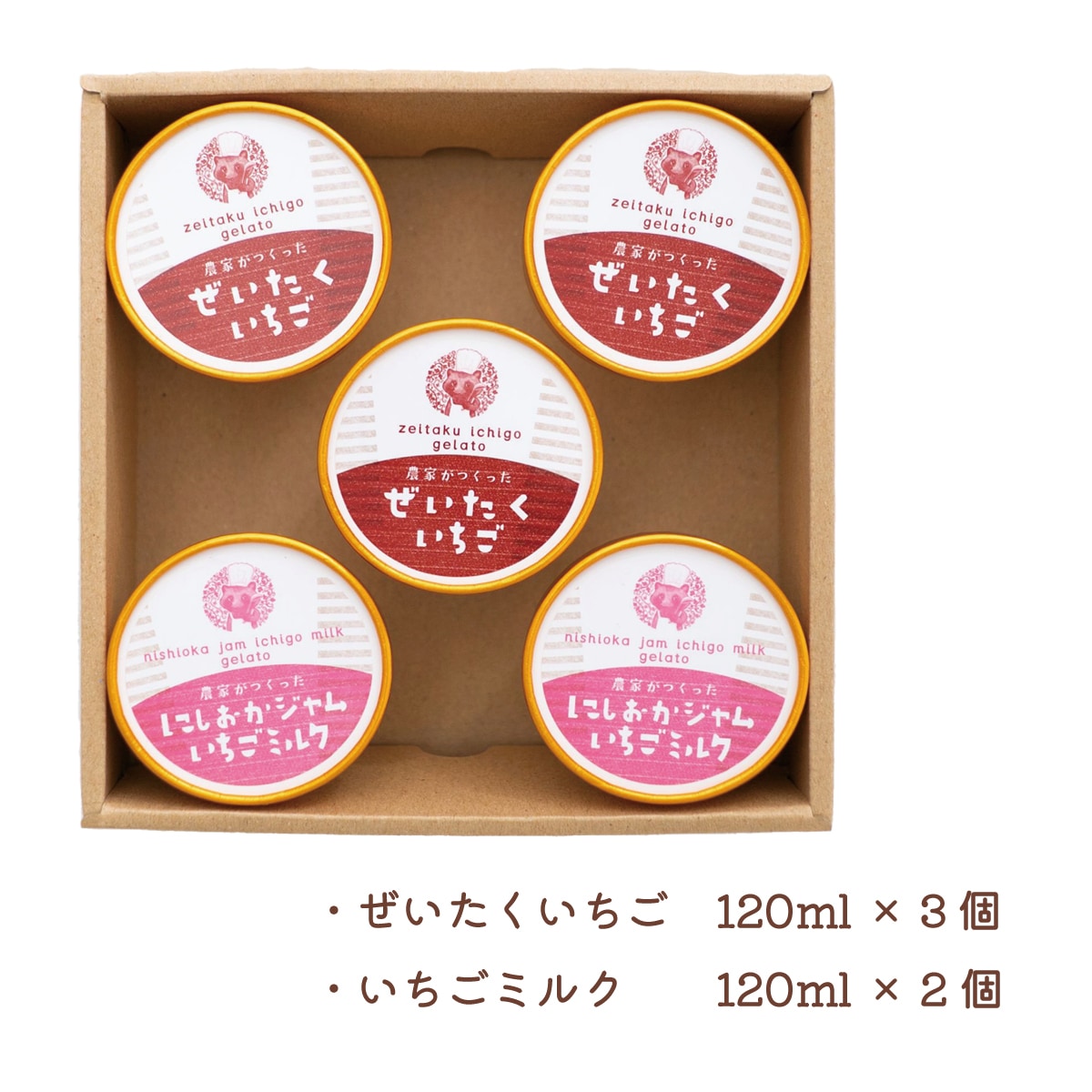 いちご農家が作った　いちごジェラート5個セット　徳島県産勝占いちご使用