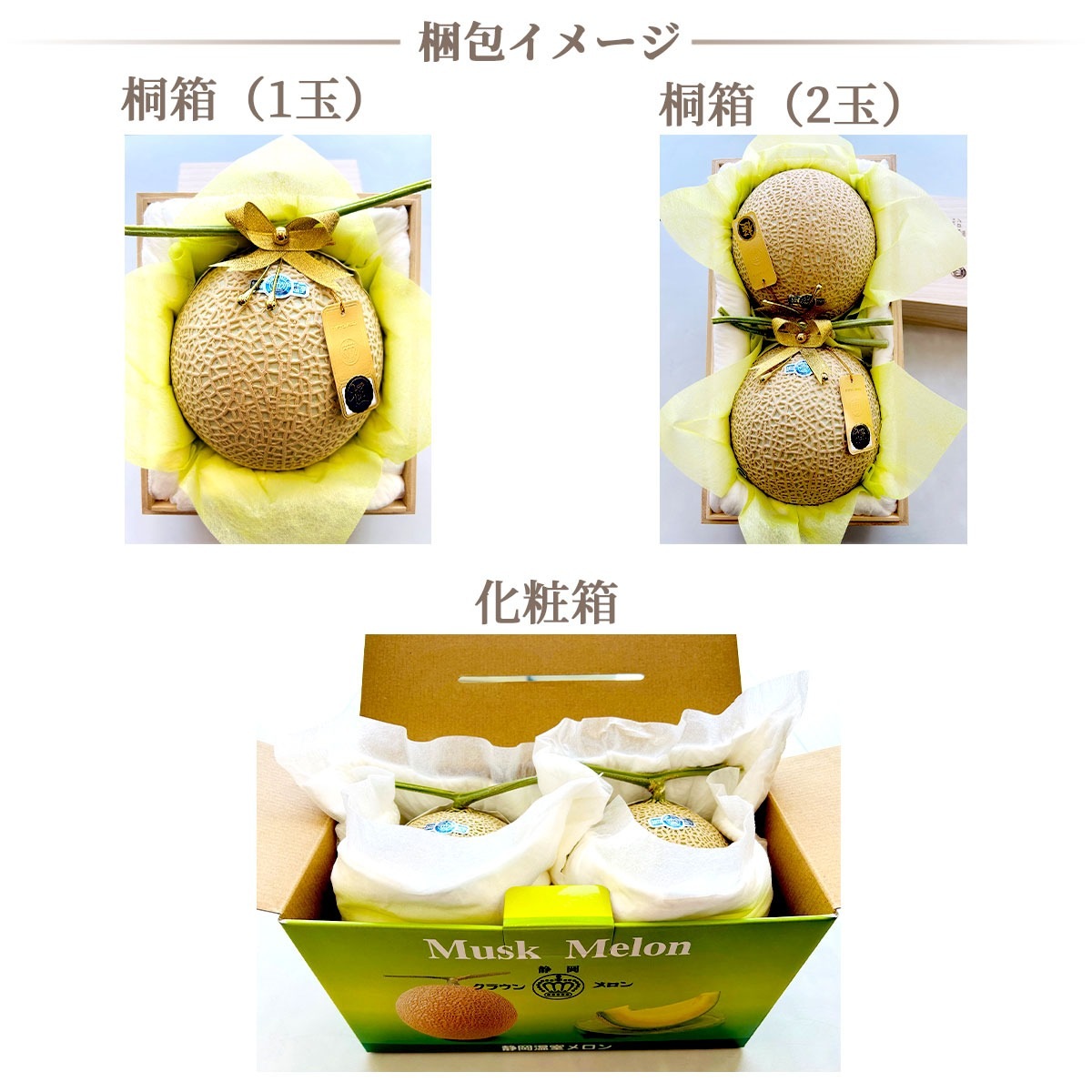 最高品質マスクメロン 静岡クラウンメロン 2玉（Lサイズ/最高級ランク
