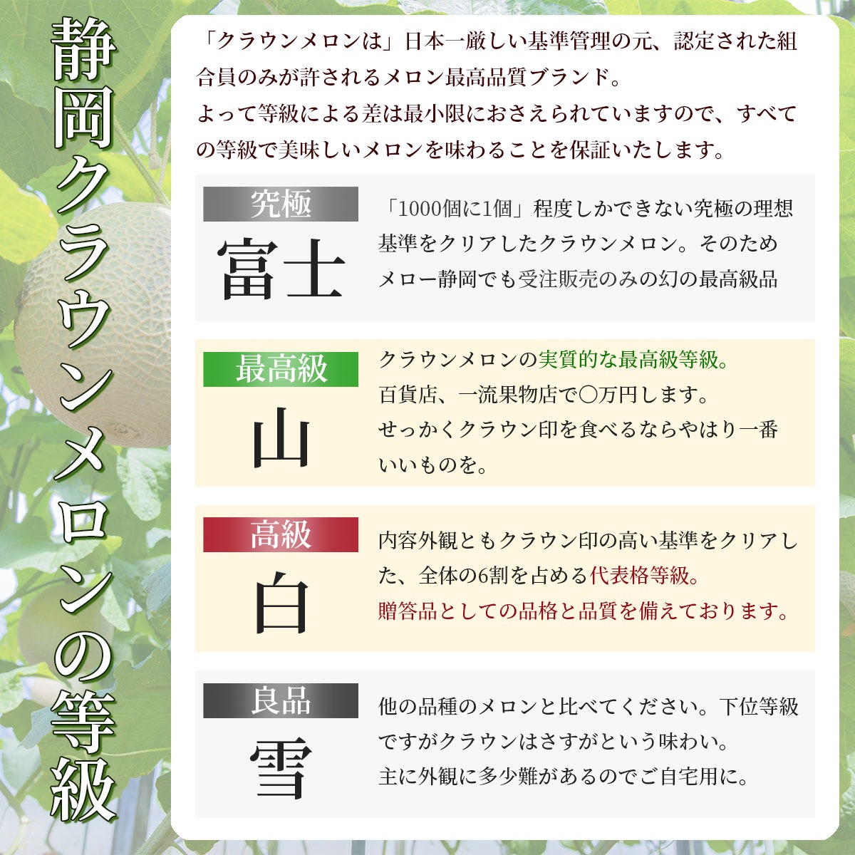 最高品質マスクメロン 静岡クラウンメロン 2玉（Lサイズ/最高級ランク