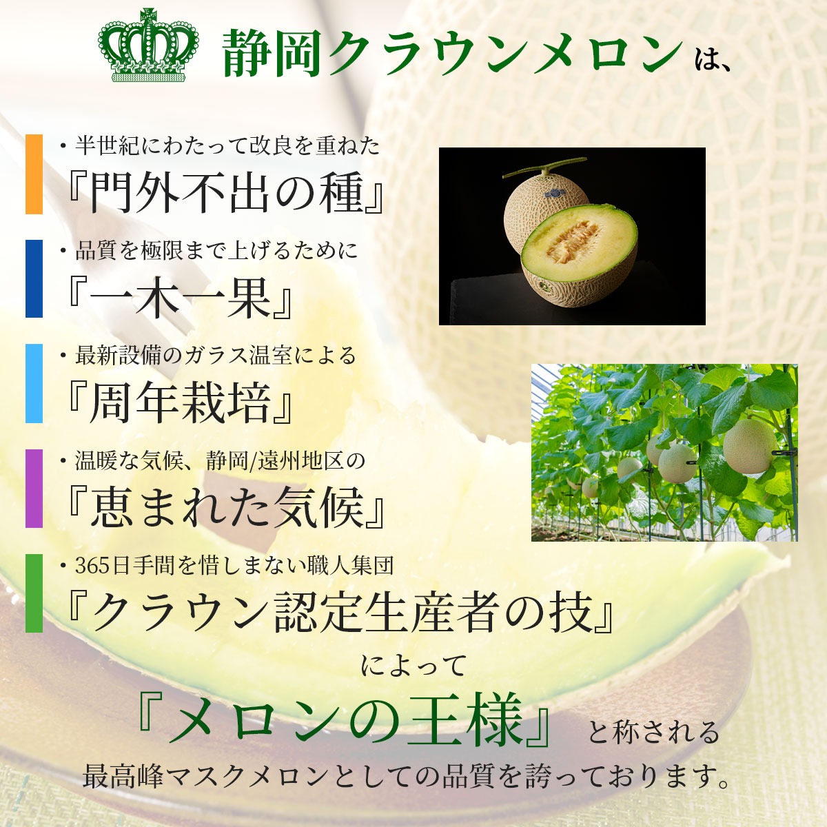 最高品質マスクメロン 静岡クラウンメロン 名人メロン 1玉（Lサイズ/最