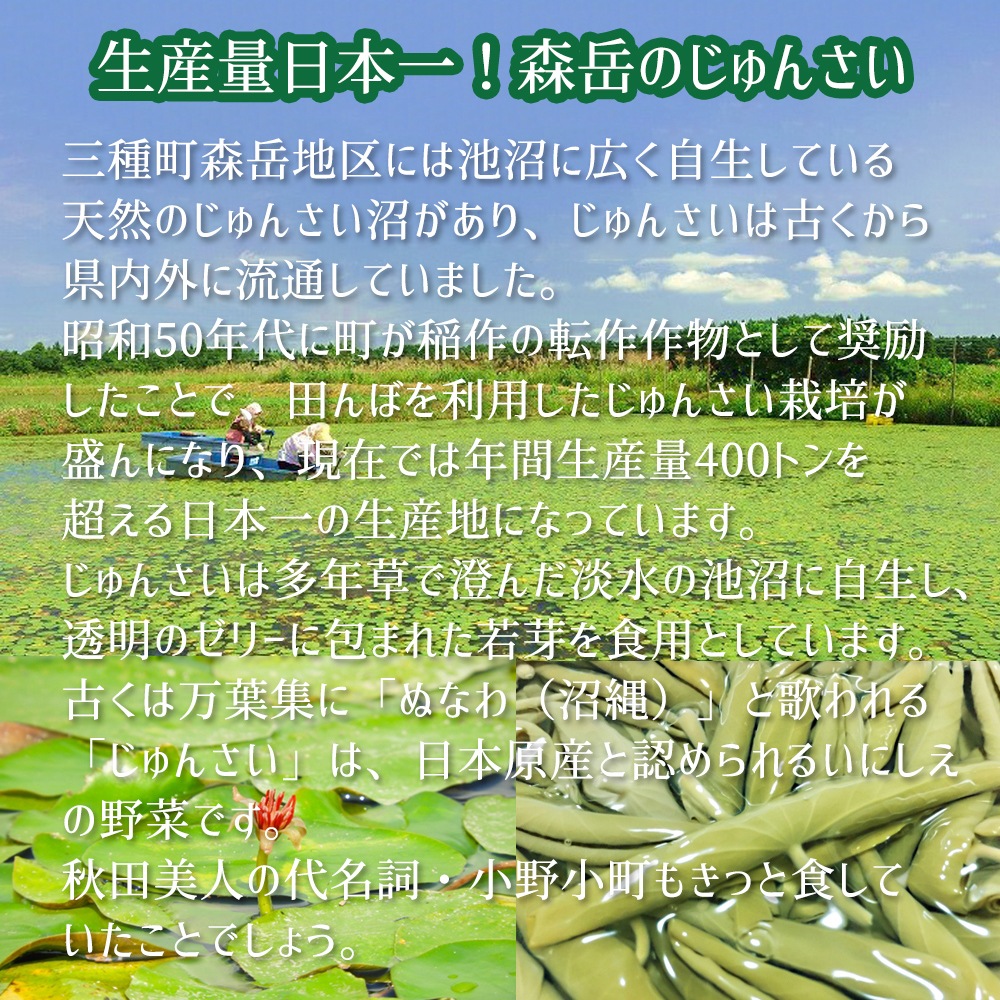 生じゅんさい500g 生産量日本一の秋田県三種町産
