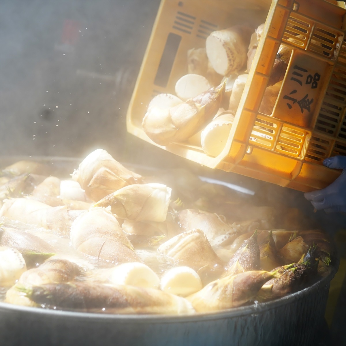 竹の子ごはんの素（2合炊き用）3本セット　化粧箱入り　京都西山丘陵から産地直送