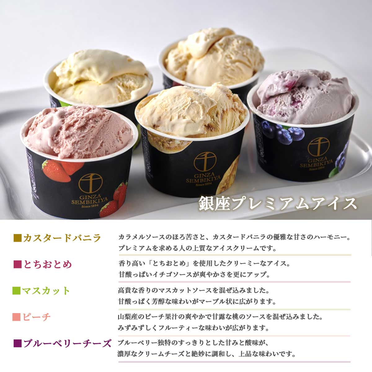 銀座千疋屋　銀座プレミアムアイス＆ソルベ10種10個入り