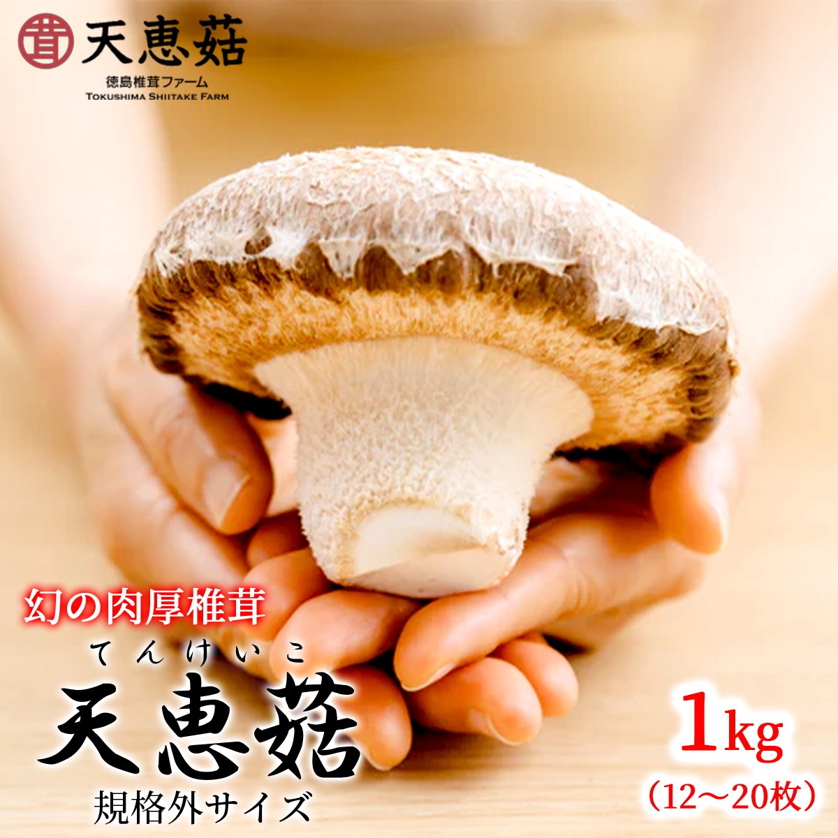天恵菇（てんけいこ）規格外サイズ 1kg（12～20枚）国産のお取り寄せ
