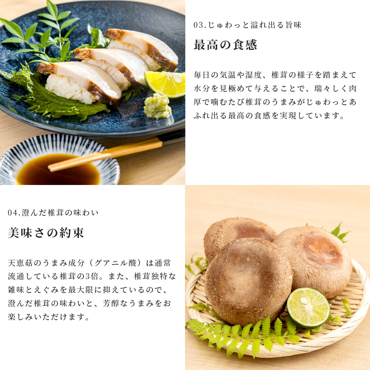 天恵菇（てんけいこ）規格外サイズ 1kg（12～20枚）国産のお取り寄せ