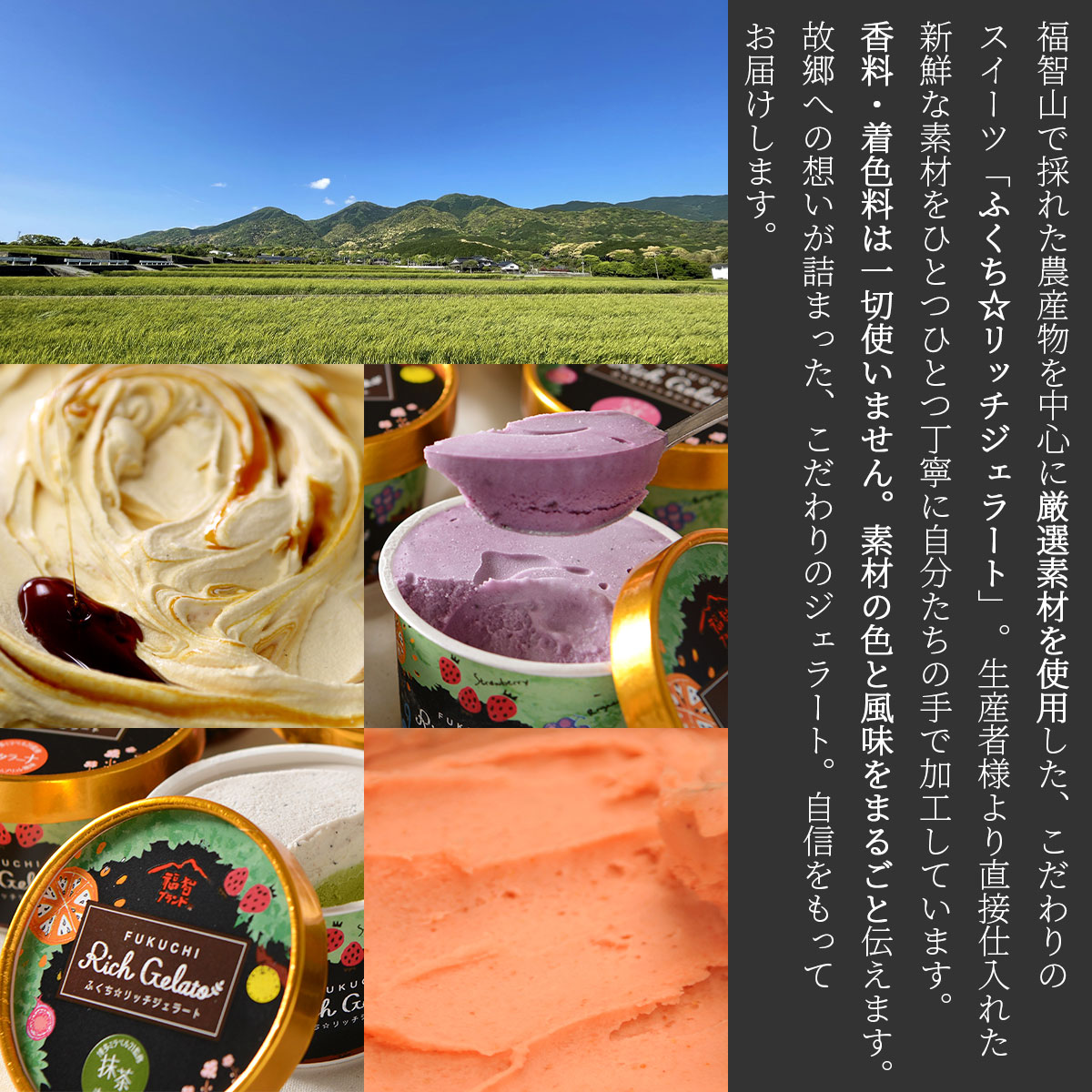 ふくち☆リッチジェラート　モダンセット（6個入）福岡県福智町ご当地ジェラート