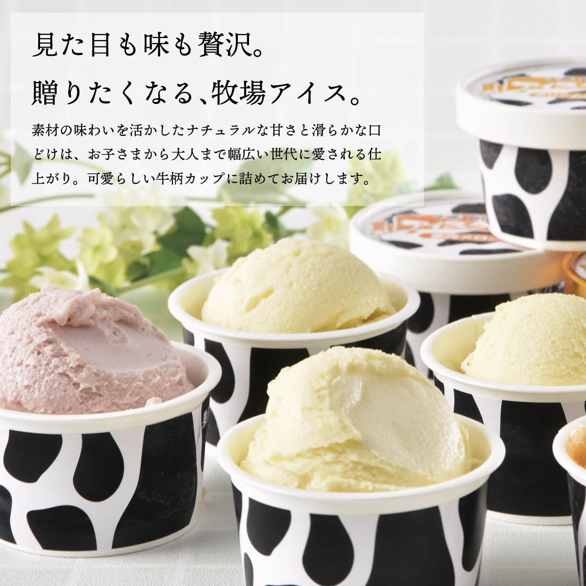 北海道十勝ドルチェ 十勝白い牧場アイス 5種10個詰め合わせセット 放牧