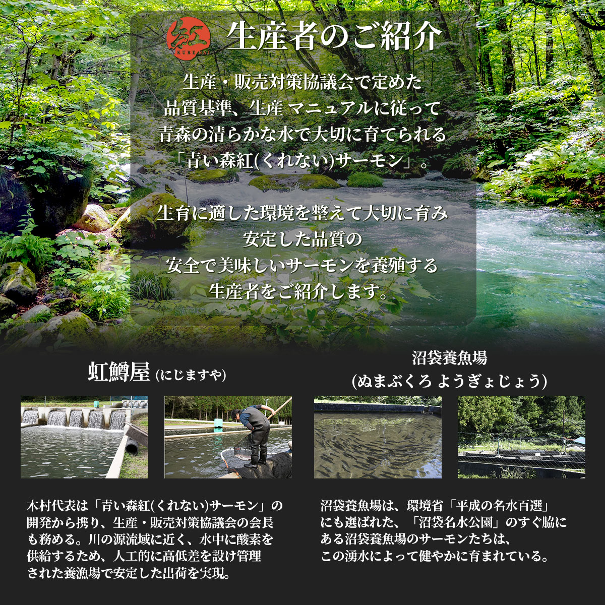 青森の海鮮おつまみ6点盛りセット（紅サーモン・八戸産しめ鯖・ホタテのみそ貝焼き・イカまるごとメンチ）青森ご当地グルメ