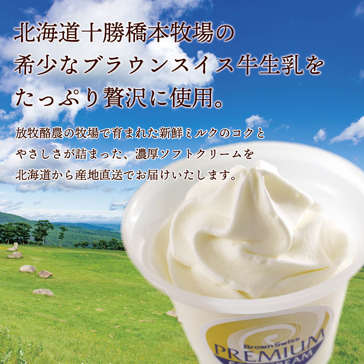 北海道十勝ドルチェ 十勝橋本牧場プレミアムソフト3種8個セット(プレーン・いちご・チョコ) 放牧牛の生乳を使った自然派お取り寄せスイーツ