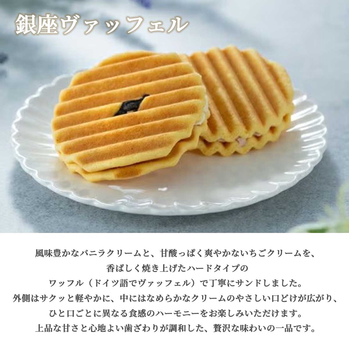 銀座千疋屋 銀座バラエティセット(ゼリー・フルーツフィナンシェ・ヴァッフェル・フルーツクーヘン)