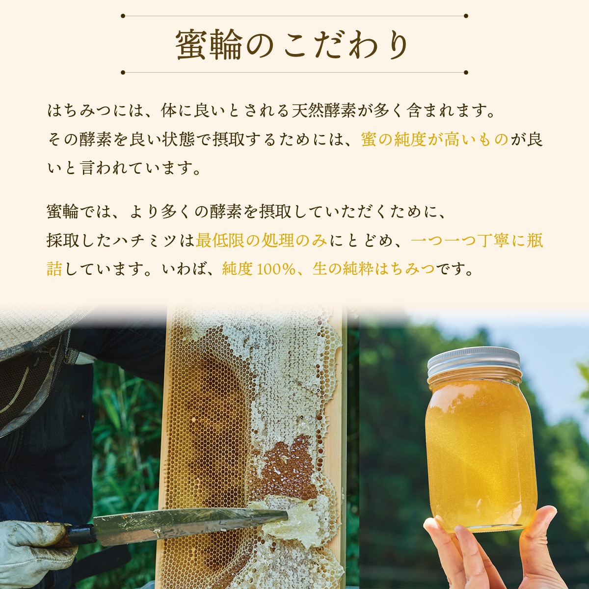 ⭕れんげ蜂蜜10本生はちみつ自家製