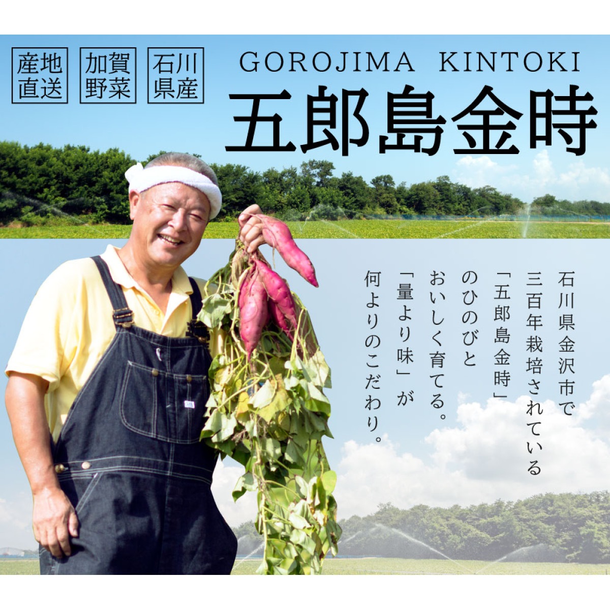 五郎島金時芋 焼き芋おじさん(300g)5袋