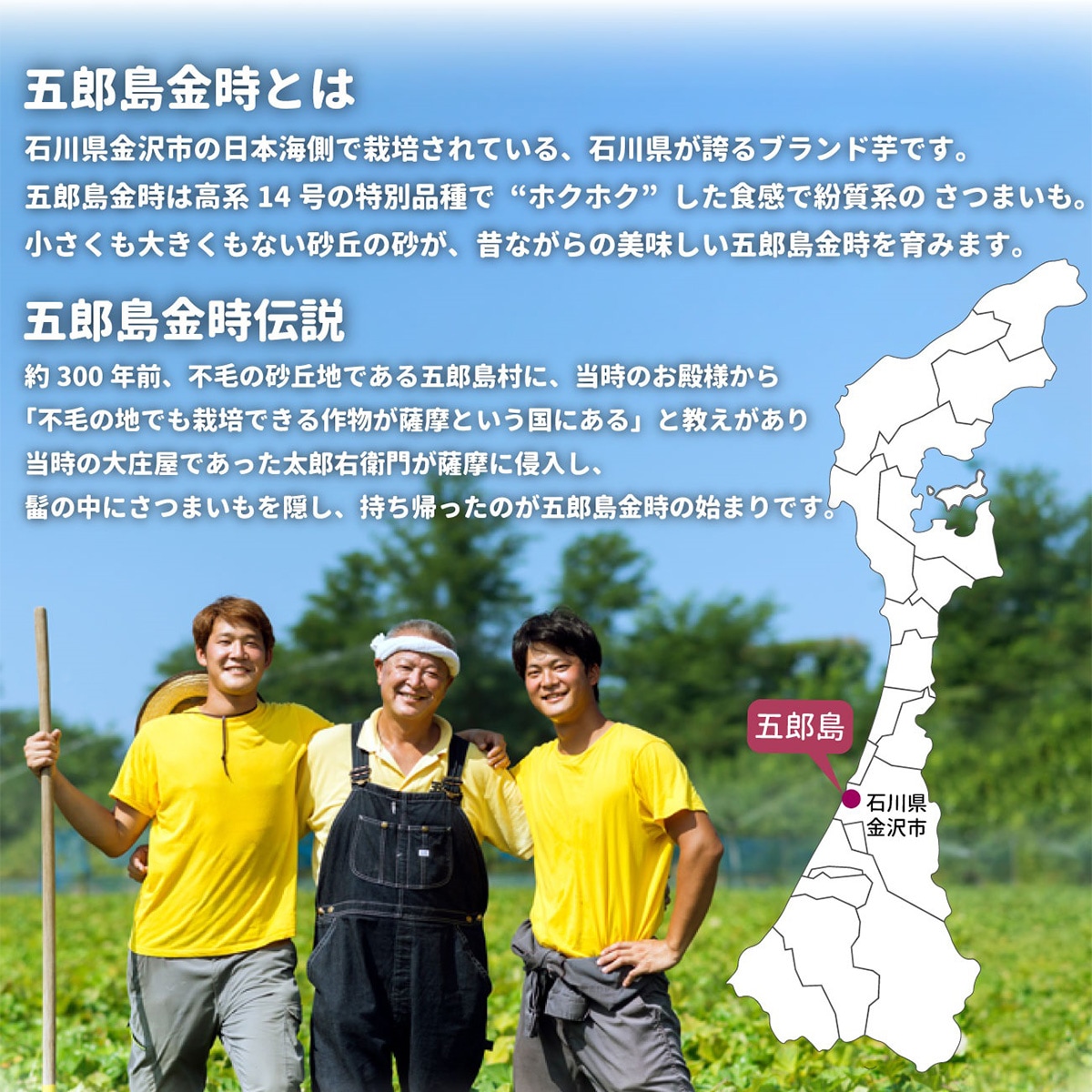 五郎島金時芋 焼き芋おじさん(300g)5袋