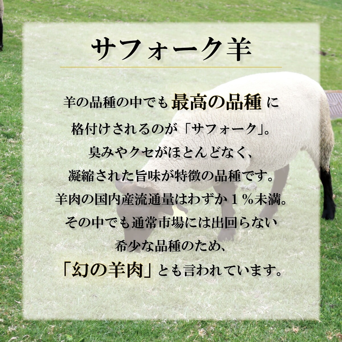 サフォークホゲットジンギスカン(醤油味)200g×3パック 北海道士別市しずお農場から産地直送