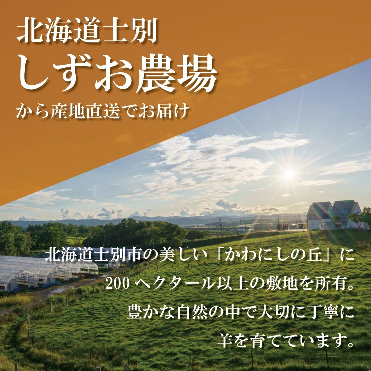 サフォークホゲットジンギスカン(醤油味)200g×3パック 北海道士別市しずお農場から産地直送