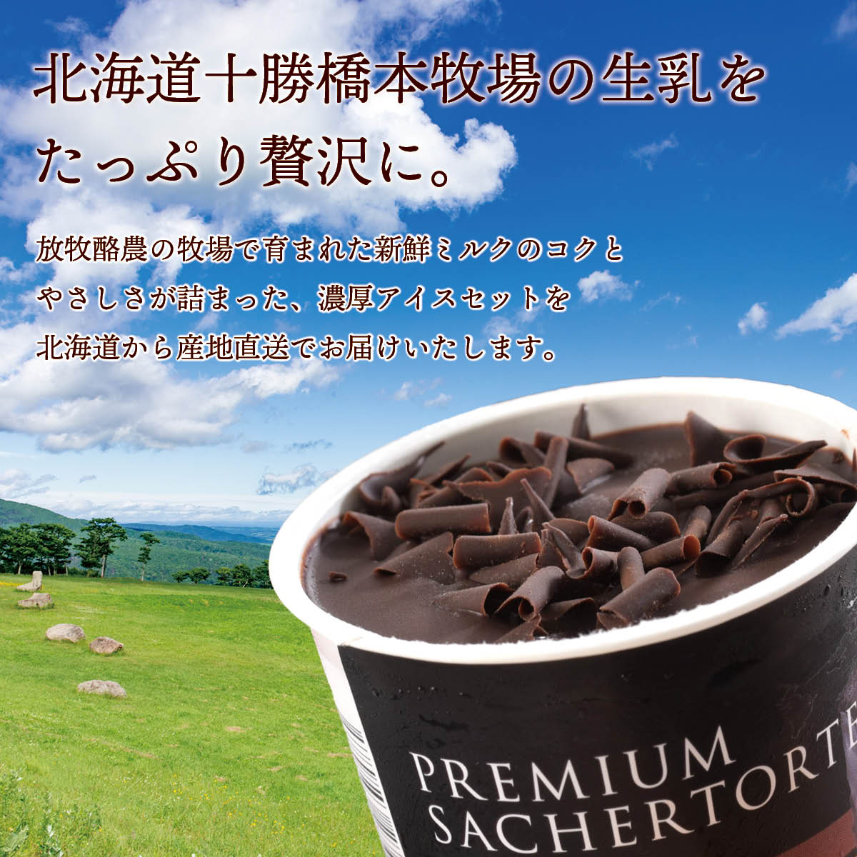 北海道十勝ドルチェ　十勝橋本牧場プレミアムアイス3種8個セット（リッチミルク・キャラメルミルク・ザッハトルテ）　放牧牛の生乳を使った自然派お取り寄せスイーツ