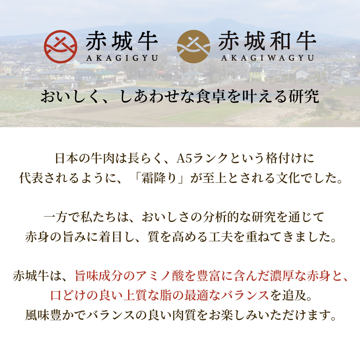 赤城和牛本格焼肉5種食べ比べセット600g(赤城和牛専用だれ付) 群馬 ・赤城牛のとりやま