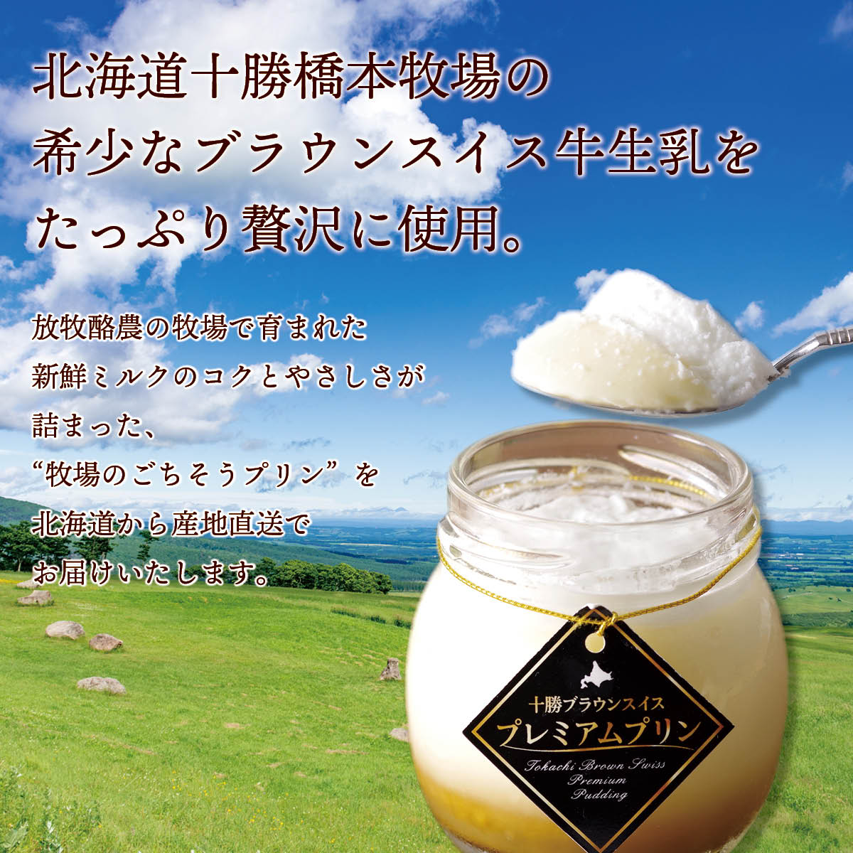 北海道十勝ドルチェ　十勝橋本牧場ブラウンスイスプレミアムプリン6個セット（冷凍）　放牧牛の生乳を使った自然派お取り寄せスイーツ