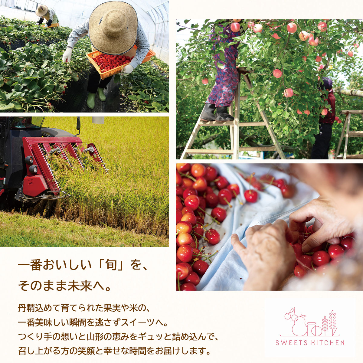 山形県産　樹上完熟桃ジュレ・桃プリン　90g×6個ギフトセット