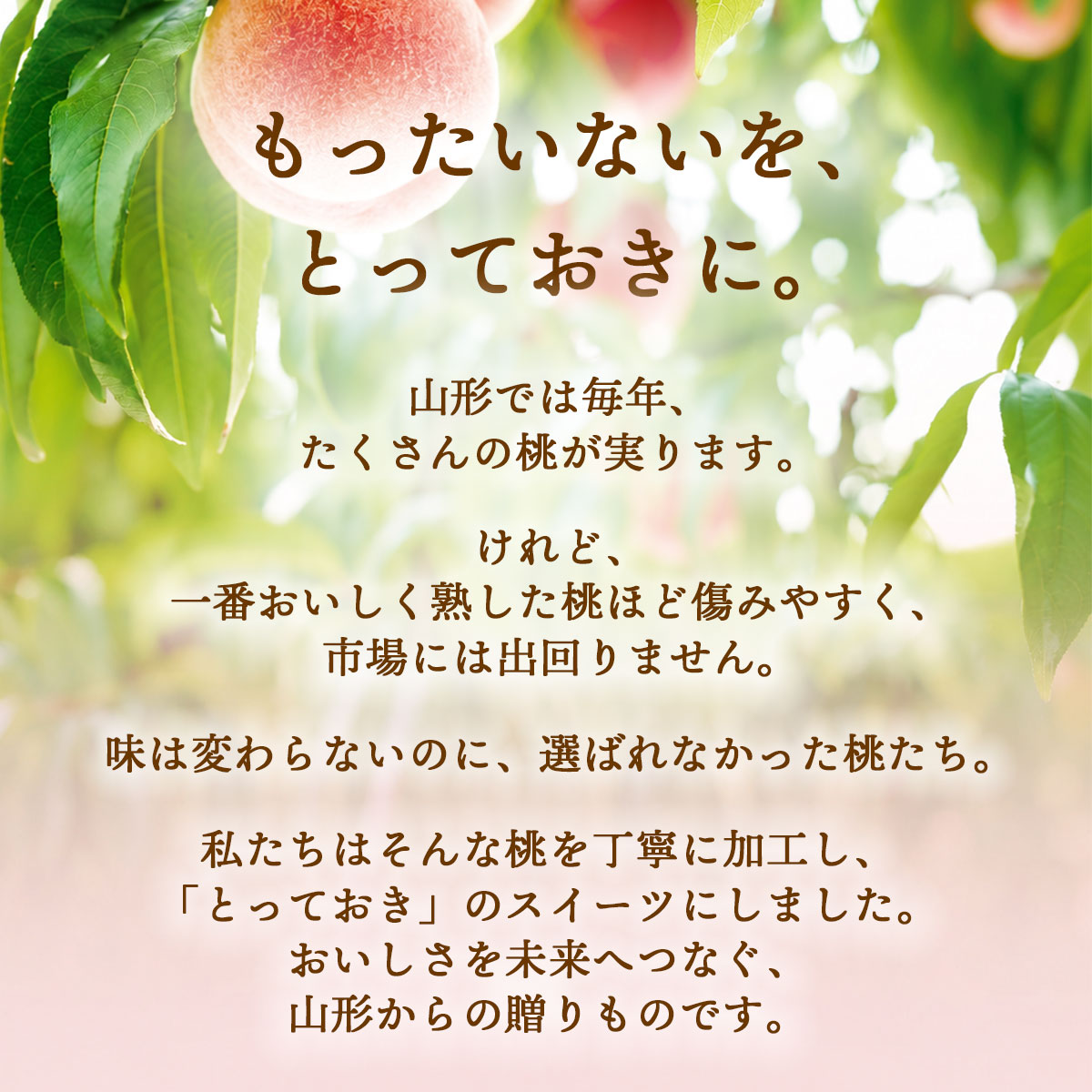 山形県産　樹上完熟桃ジュレ・桃プリン　90g×6個ギフトセット