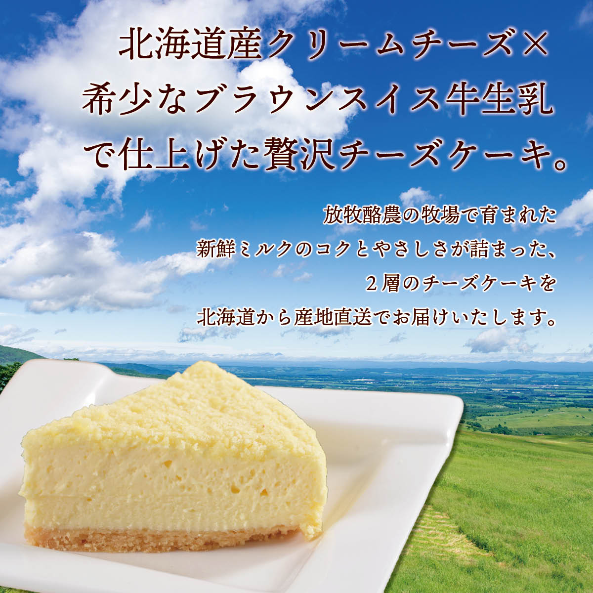 北海道十勝ドルチェ 十勝橋本牧場ブラウンスイスフロマージュ 2層の