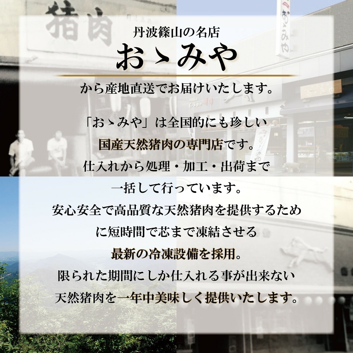 国産天然猪肉　ぼたん鍋セット2人前（300g）鍋用味噌だれ付き　丹波篠山のジビエ