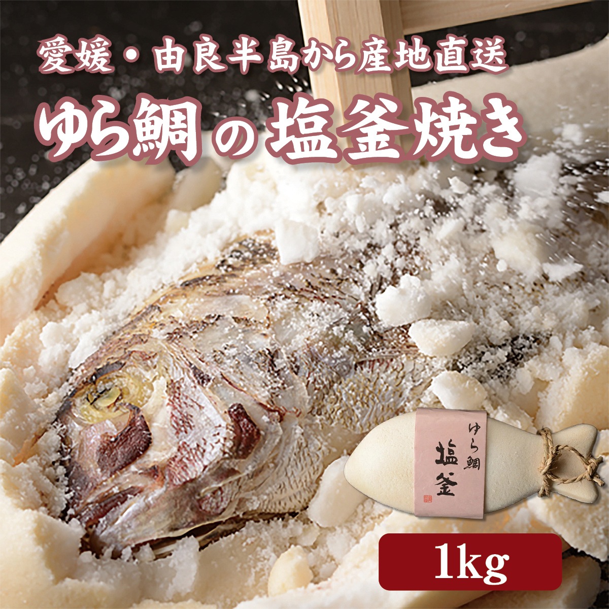 春に旬を迎える美味しいお取り寄せグルメ、グルメギフト（食べ物の贈り物）におすすめ　ゆら鯛の塩釜焼き（1kg）愛媛県南宇和郡の由良半島から産地直送