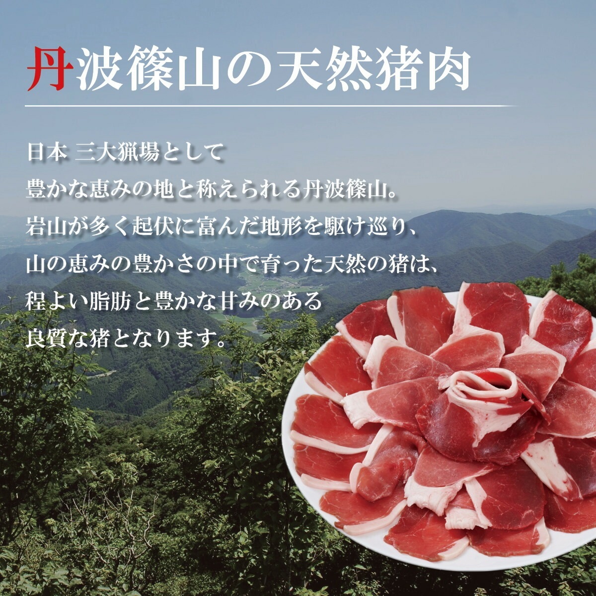 国産天然猪肉　焼ぼたん（300g）フレーバーソルト付き焼肉用セット　丹波篠山のジビエ