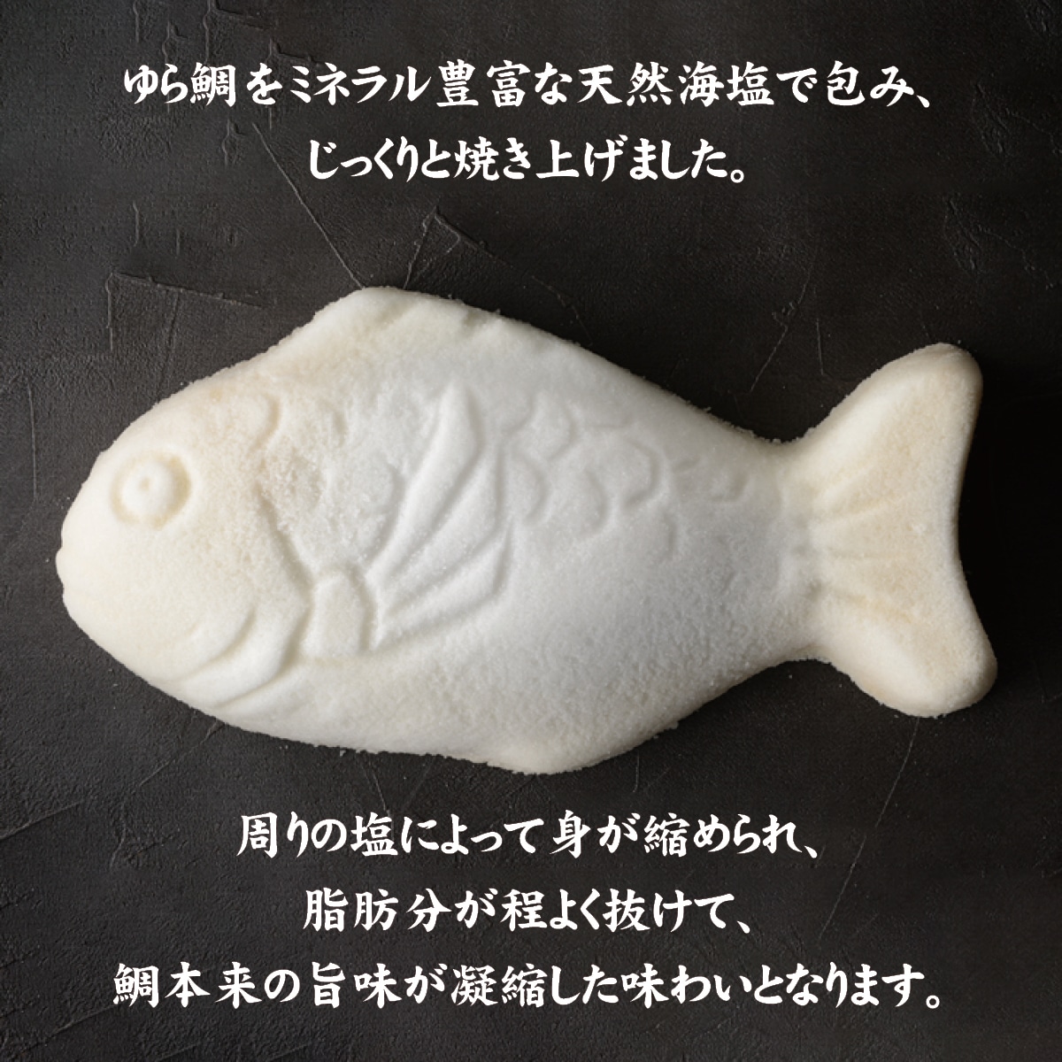 ゆら鯛の塩釜焼き（1.3kg）愛媛県南宇和郡の由良半島から産地直送