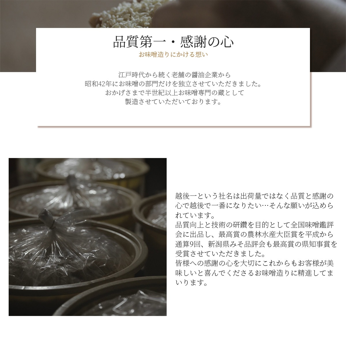 丸しぼり　650g×2個入（赤みそ・白みそ各1個入）国産大豆使用・無添加生味噌　えちごいち味噌