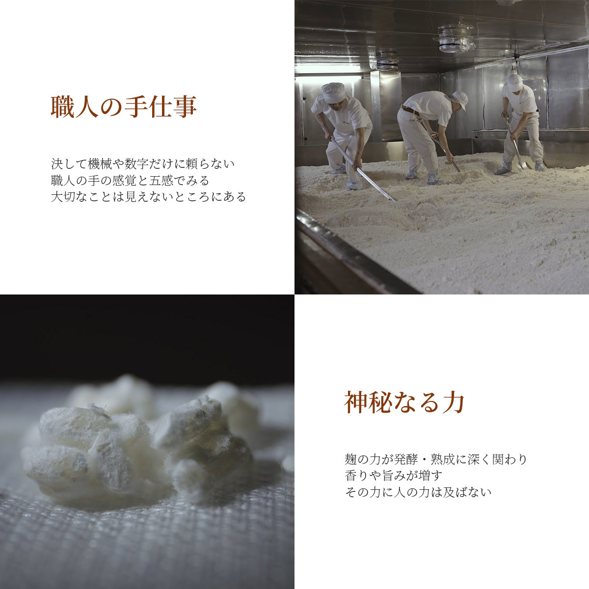 丸しぼり　650g×2個入（赤みそ・白みそ各1個入）国産大豆使用・無添加生味噌　えちごいち味噌