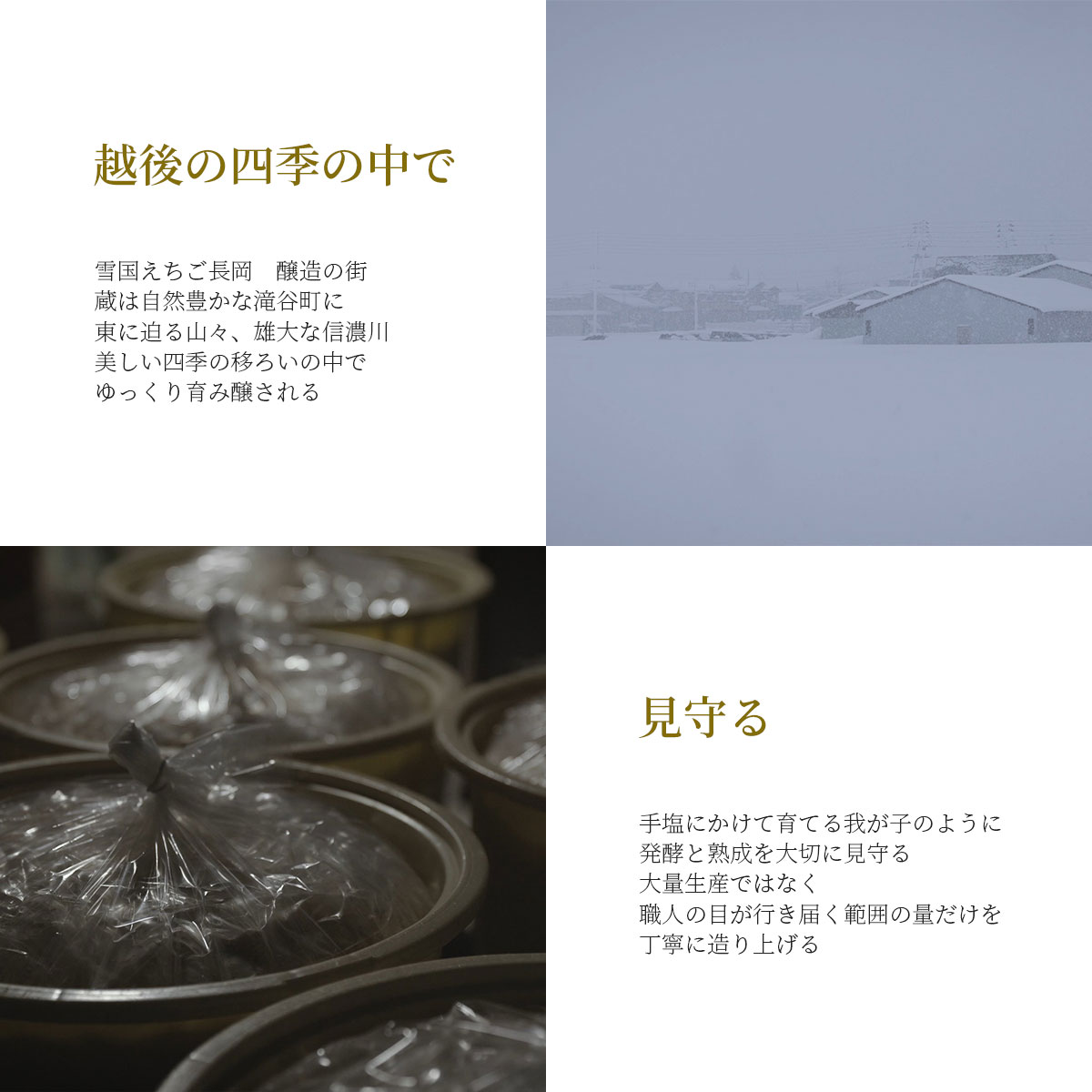 丸しぼり　650g×2個入（赤みそ・白みそ各1個入）国産大豆使用・無添加生味噌　えちごいち味噌