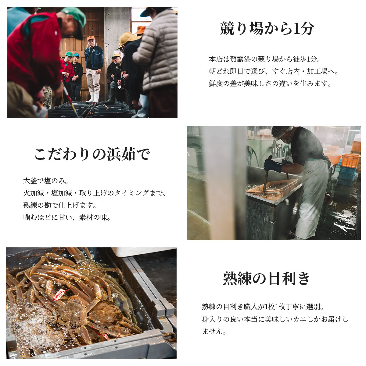 日本海山陰沖産 生ホタルイカ200g×3パックセット(生食可)