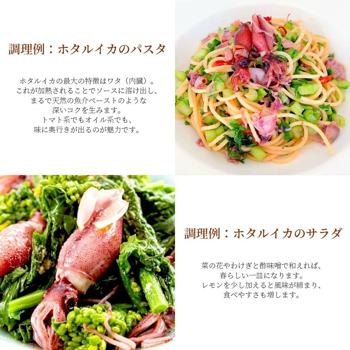 日本海山陰沖産 生ホタルイカ200g×3パックセット(生食可)