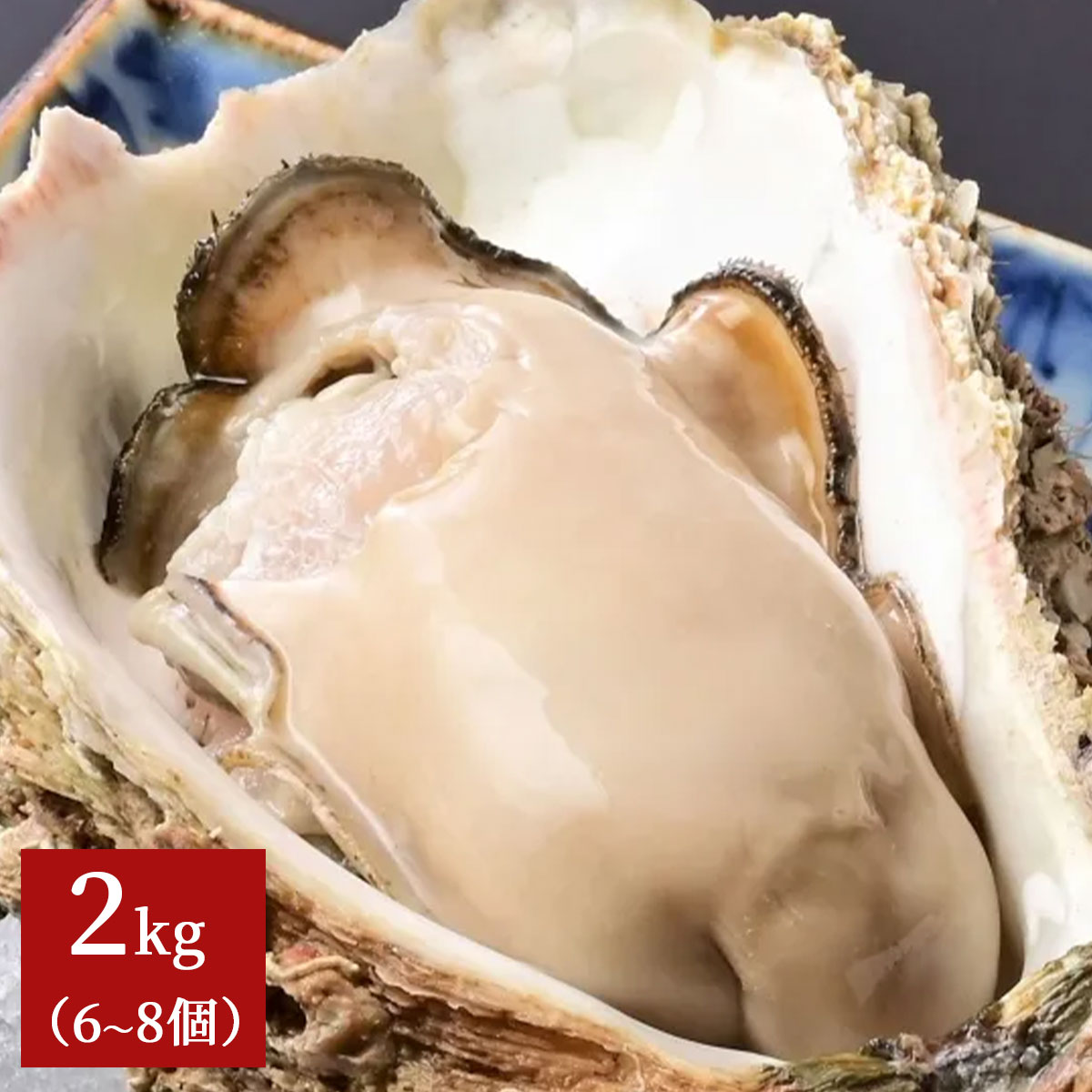 夏季限定！鳥取県産天然岩ガキ夏輝 2kg（6～8個）※お届け日指定不可