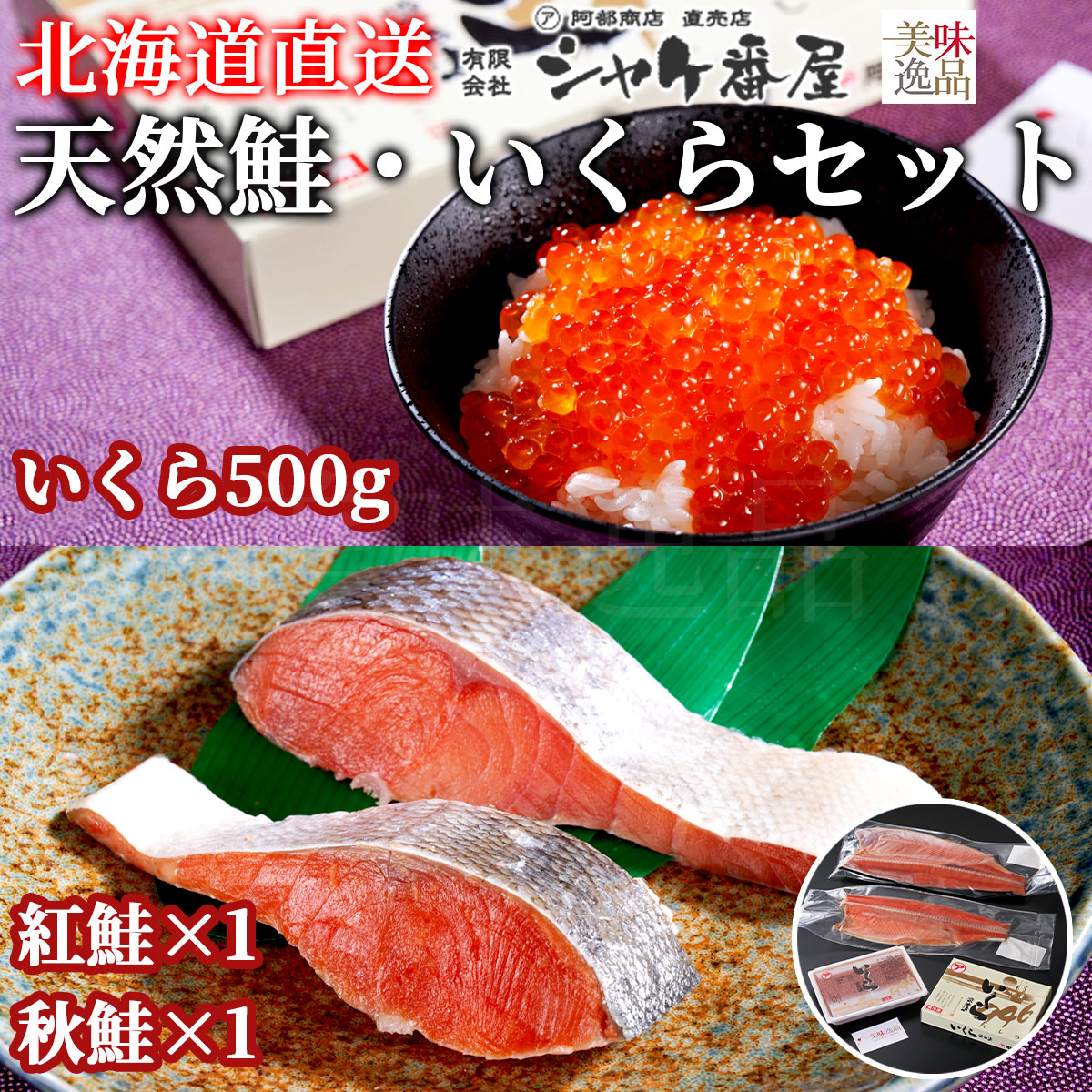 北海道　天然紅鮭・秋鮭フィレー＆いくら白醤油漬け親子セット（冷凍）