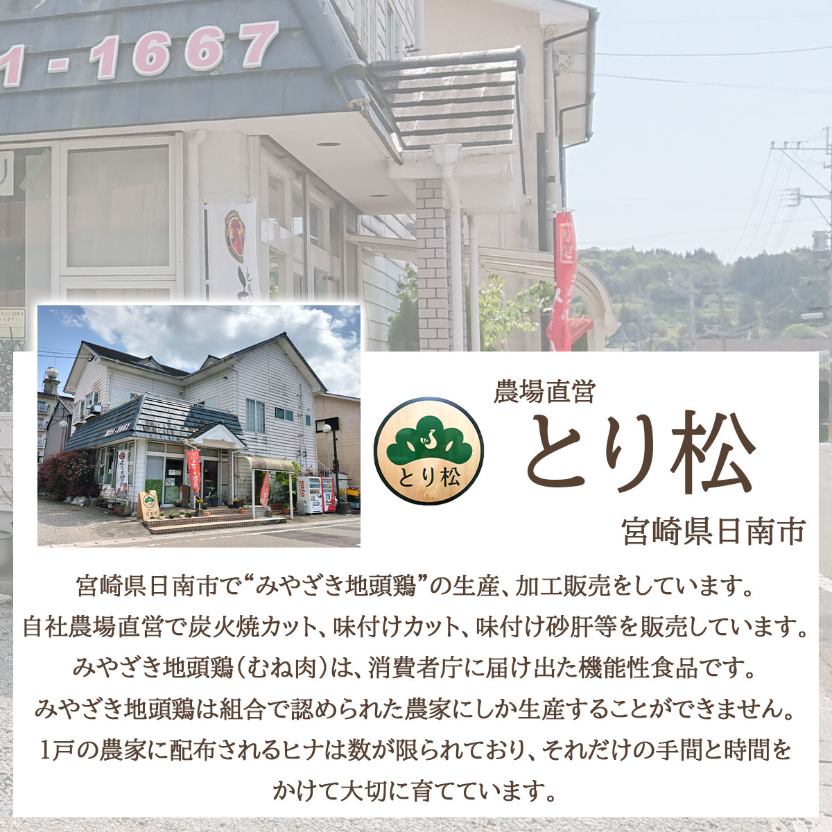 みやざき地頭鶏　炭火焼200g×2個・味付けカット500gセット