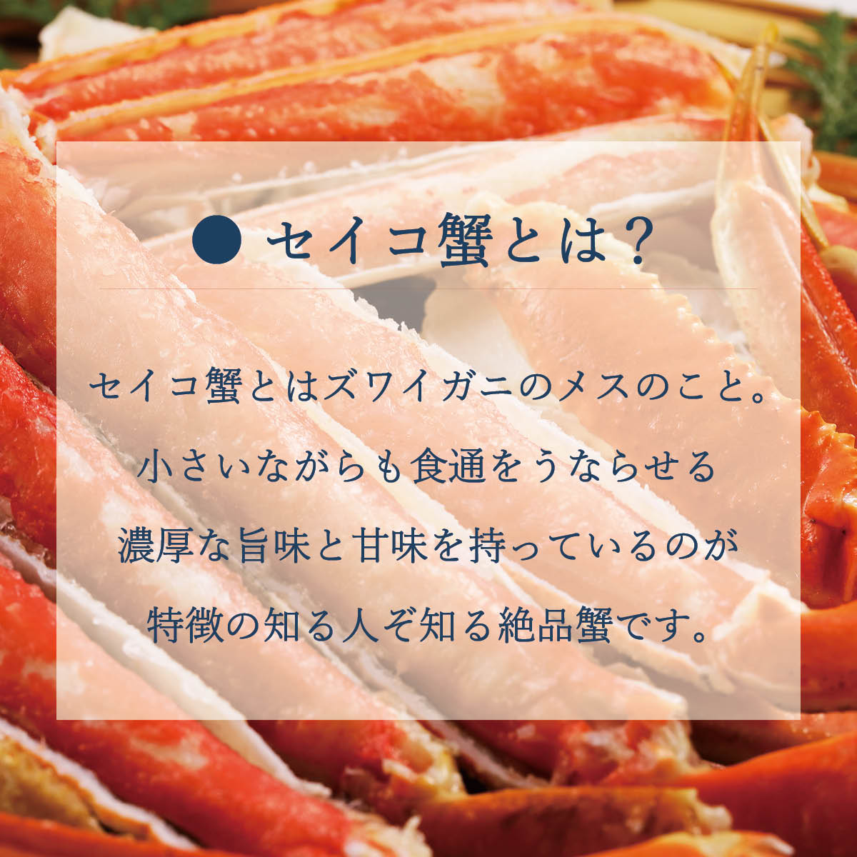 セイコ蟹の甲羅盛り（70g×3個入）土佐酢付き　京丹後から産地直送