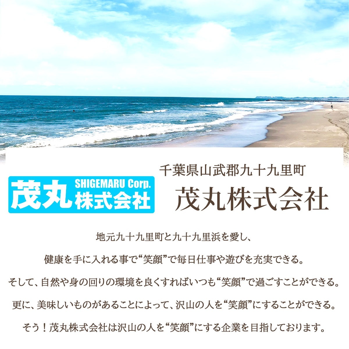九十九里浜産　天然はまぐり　大サイズ3kg（30個前後）漁師直送　砂抜き済み