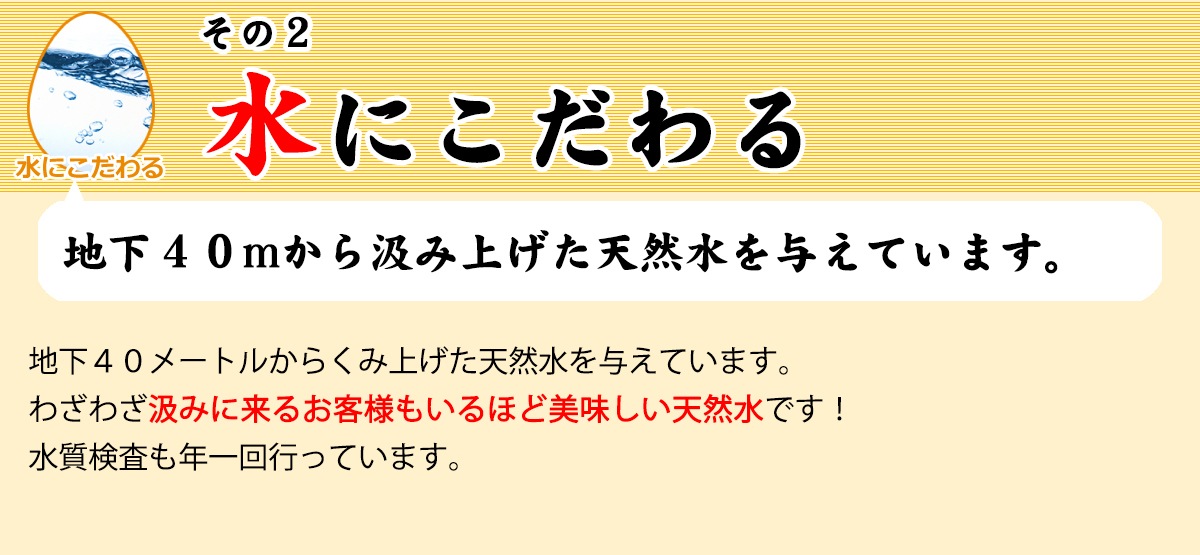 昔の味たまご10個4パック（40個）プロの料理人が絶賛するブランド鶏卵