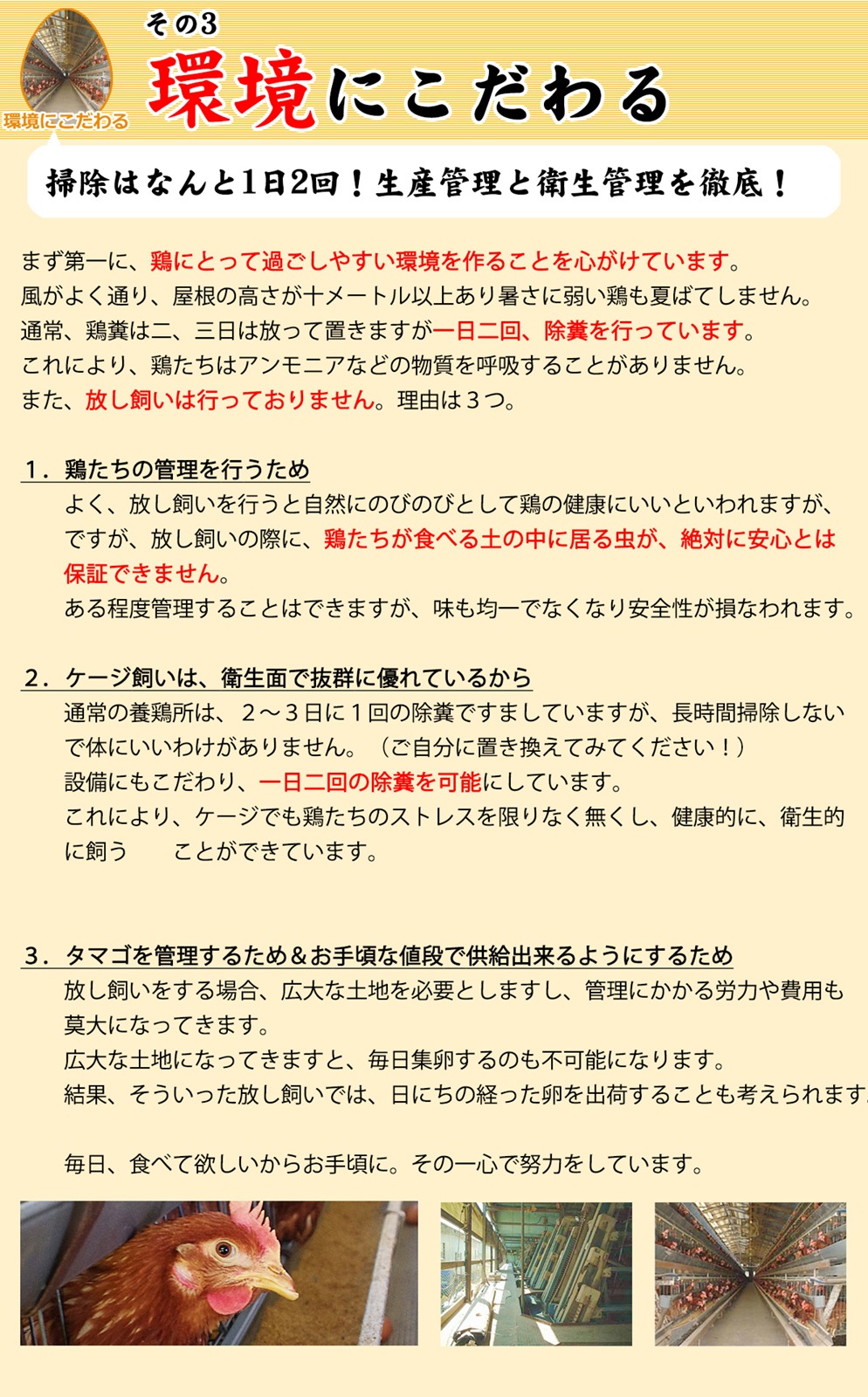 昔の味たまご10個4パック（40個）プロの料理人が絶賛するブランド鶏卵