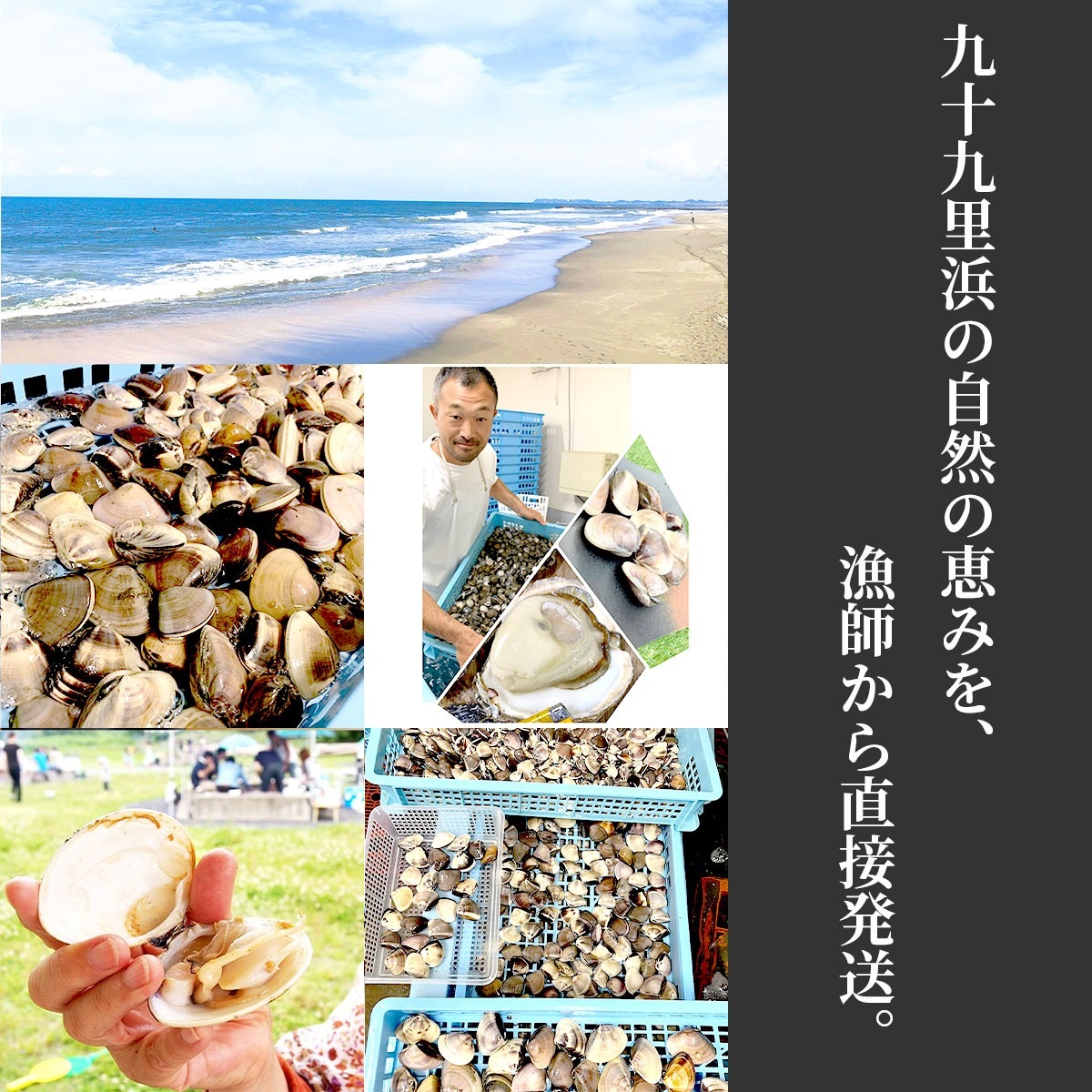九十九里浜産　冷凍天然はまぐり　お任せサイズ3kgセット（1kg×3袋）漁師直送　砂抜き済み