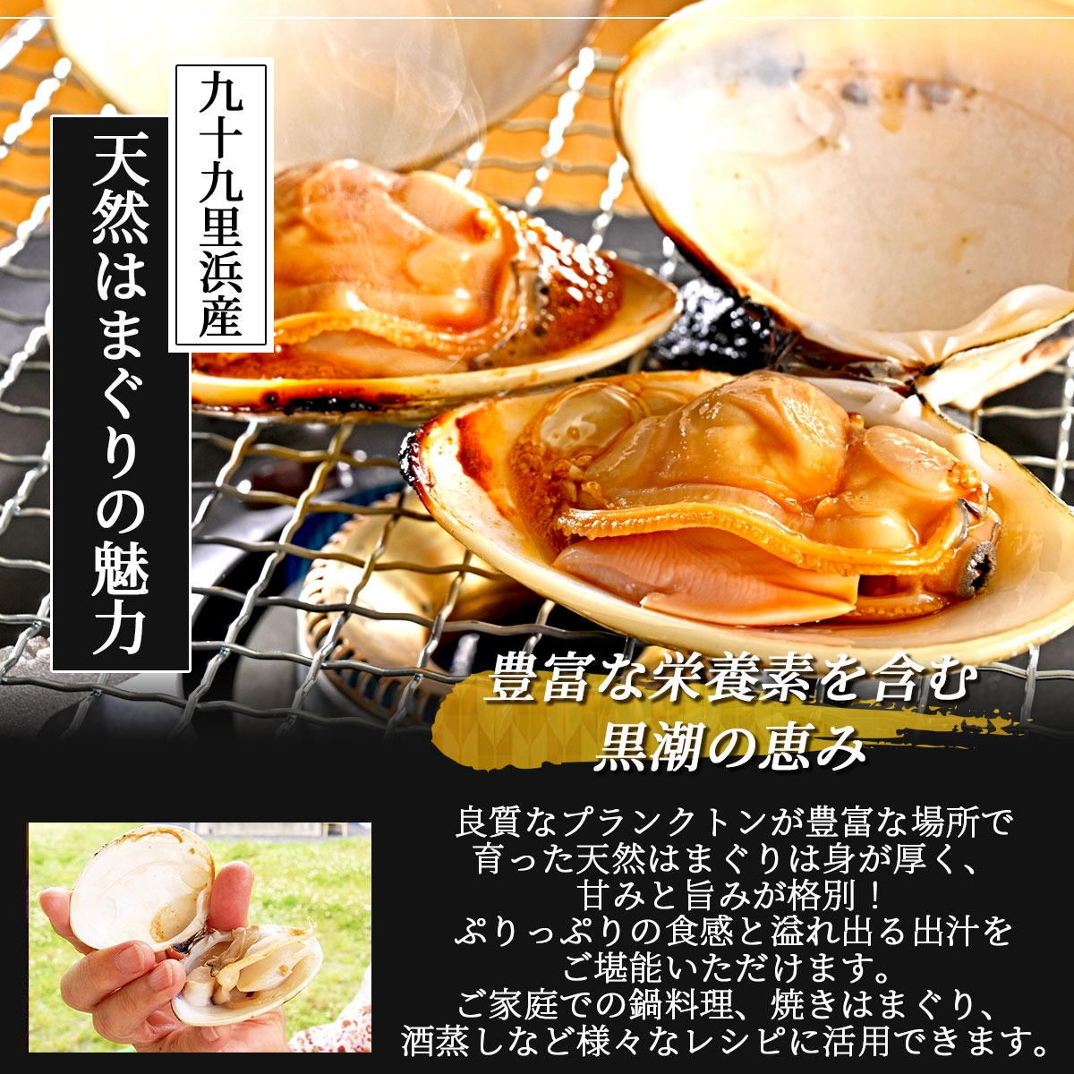 九十九里浜産　冷凍天然はまぐり　お任せサイズ3kgセット（1kg×3袋）漁師直送　砂抜き済み