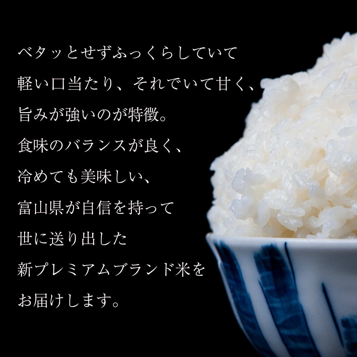 プレミアムブランド米　富山県産　富富富　令和6年産 白米 10キロ　送料無料 日本の銘米 米 10kg 特別栽培米 富富富 ふふふ 富山県産 お米 10