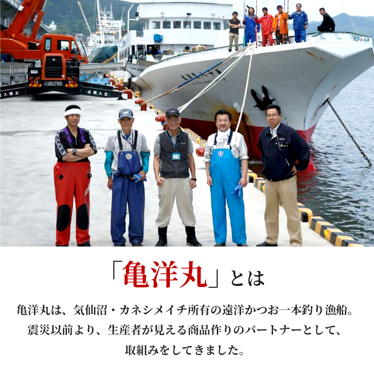 気仙沼港水揚げ お刺身用トロかつお 3～4筋（約1～1.2kg）冷凍 かつお漁船・亀洋丸が一本釣り