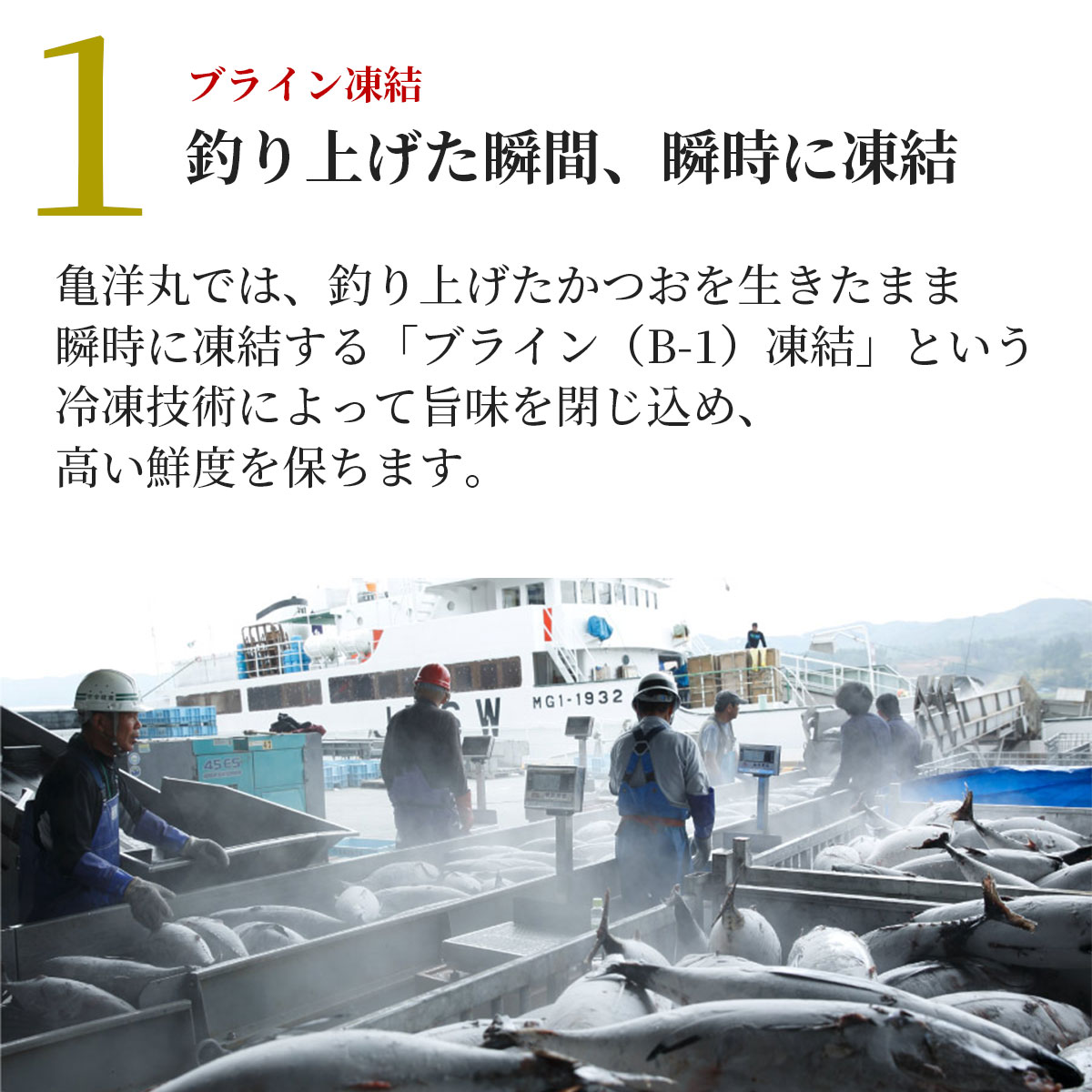 気仙沼港水揚げ お刺身用トロかつお 3～4筋（約1～1.2kg）冷凍 かつお漁船・亀洋丸が一本釣り