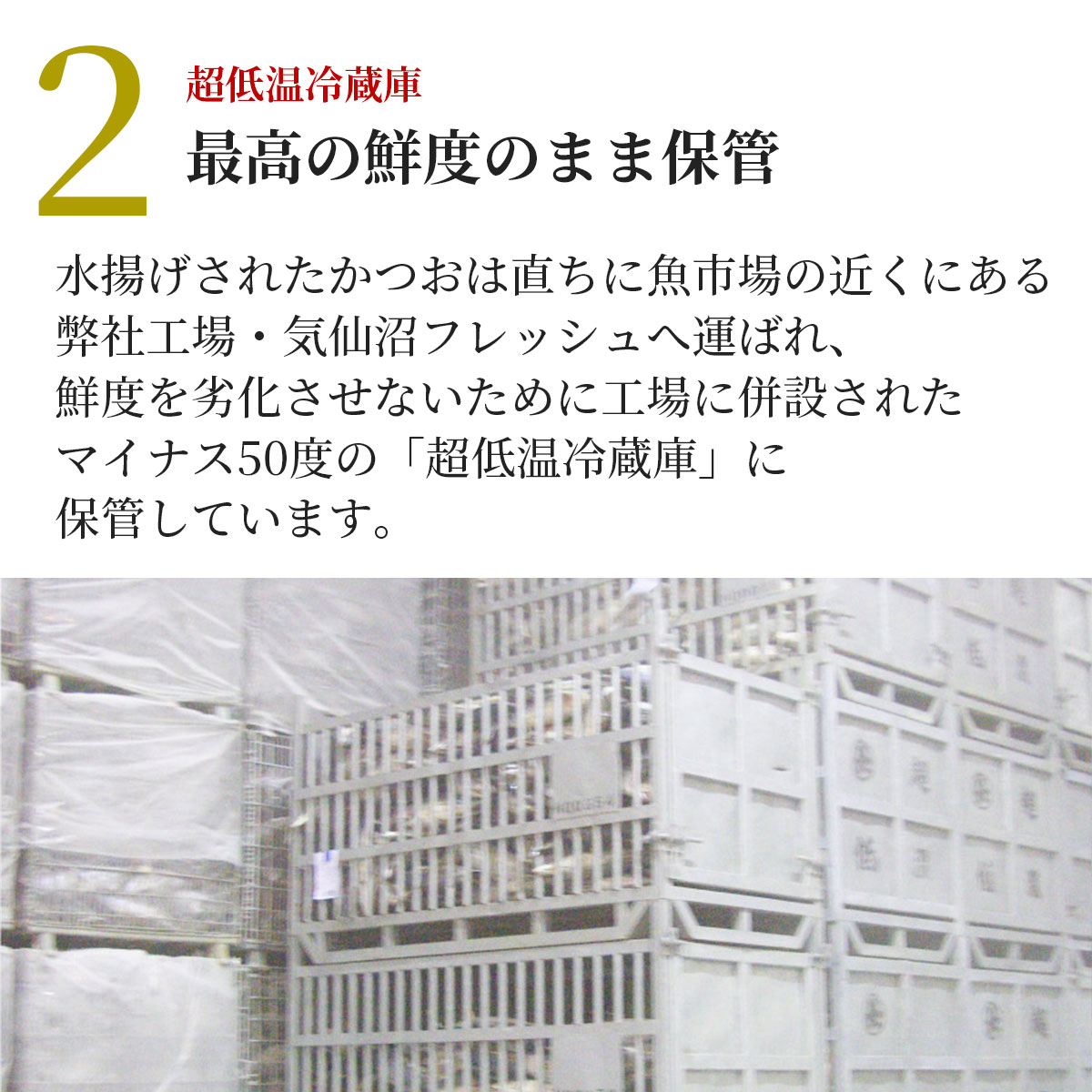 気仙沼港水揚げ お刺身用トロかつお 3～4筋（約1～1.2kg）冷凍 かつお漁船・亀洋丸が一本釣り